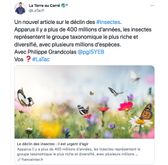 Le déclin des insectes : il est urgent d'agir 
