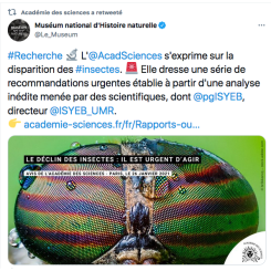 Le déclin des insectes : il est urgent d'agir