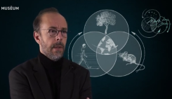  Pandémie et biodiversité Philippe Grandcolas
