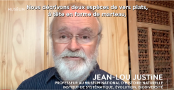 Jean-Lou Justine 