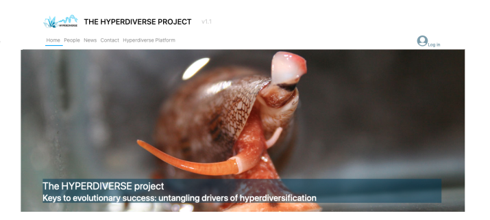 PROJET HYPERDIVERSE