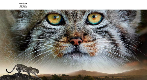 EXPO FELINS 2023-2024