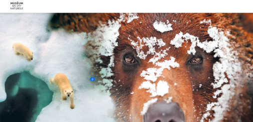 EXPO ESPECES D'OURS 2017