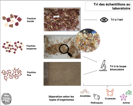 kanameco - Echantillons : étape 2, le tri des différentes fractions 