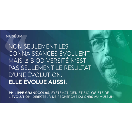 Philippe Grandcolas systématicien et biologiste de l'évolution