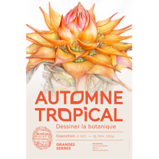 Affiche Automne Tropical 2024