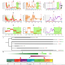 visuel article Boderau, nel et Jouault