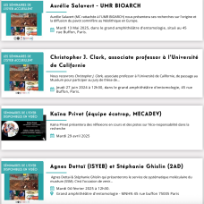 bandeau seminaires en video disponibles sur YouTube ISYEB