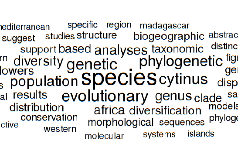 Nuage de mots GPS 2023