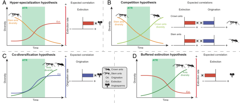 article C.Jouault et al. 2024 dans PNAS