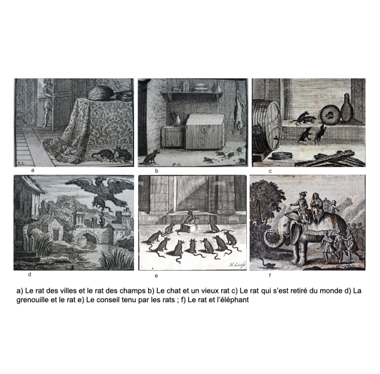 ARMAGUEDON 25 ILLUSTRATIONS RATS DES VILLES ET DES CHAMPS