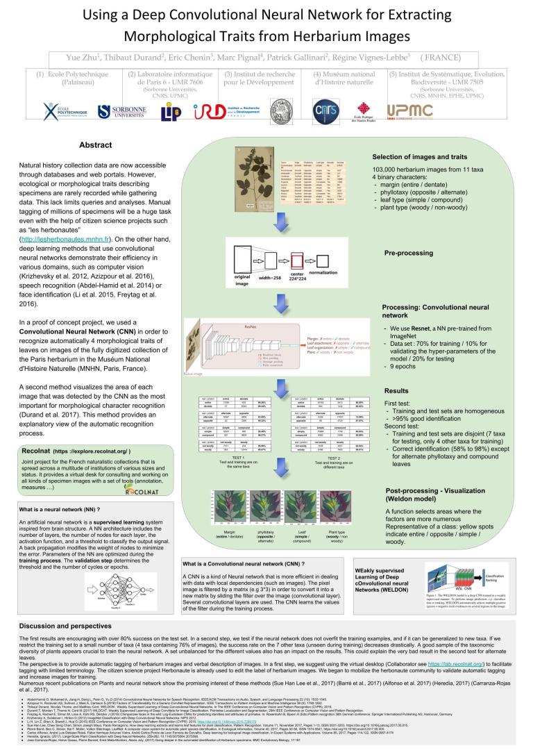 Using a deep convolutonal neural network for extracting morpho_traits from herbarium images