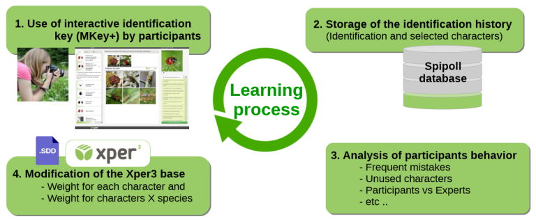 Xper3 learning process
